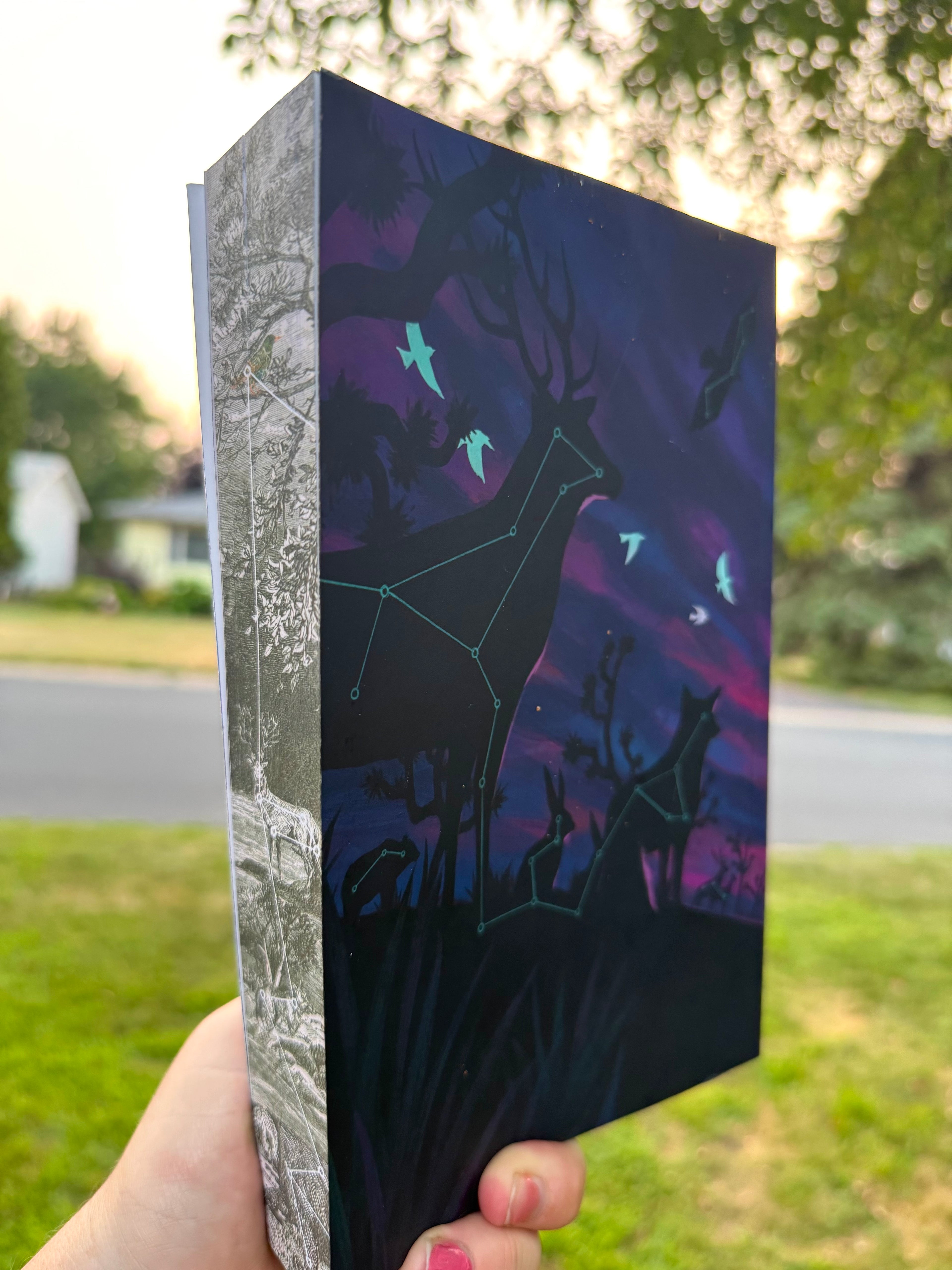 The Lumemaker - Signed First Edition